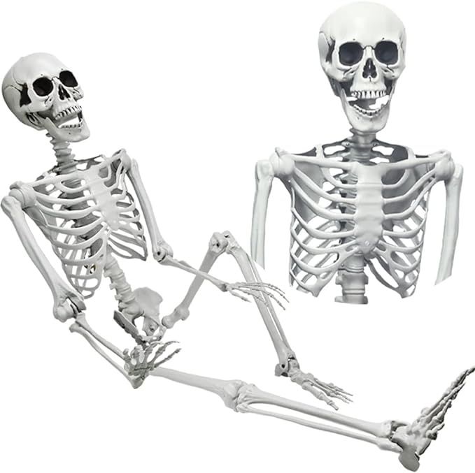 5.4ft/165cm Halloween Skeleton, Halloween Plastic Human Realistic Skeletons Life Size Full Body B... | Amazon (US)