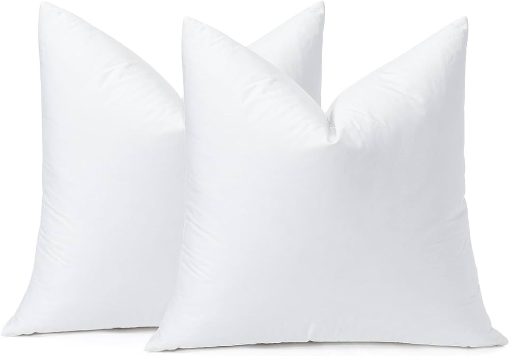 OTOSTAR Pack of 2 Down and Feather Throw Pillow Inserts, 20 x 20 Soft Fluffy Square Pillow Insert... | Amazon (US)