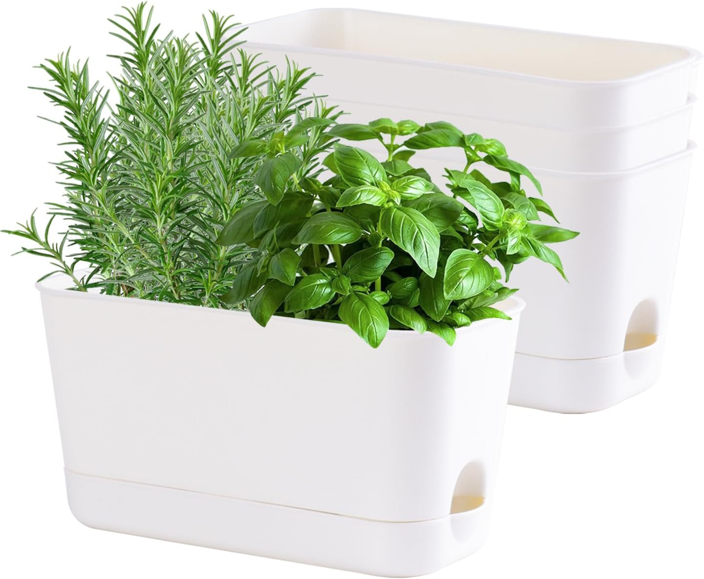 Herb Garden Planter Indoor Kit Self Watering Pots for Indoor/Outdoor Plants 4 Packs Windowsill Pl... | Amazon (US)