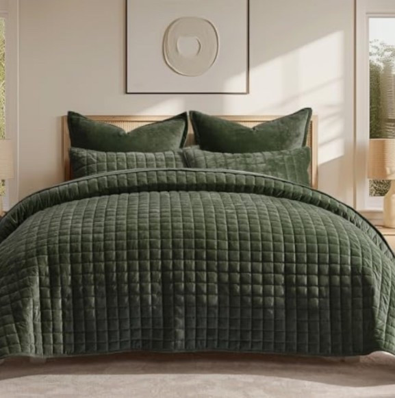 Luxury Lightweight Velvet Quilt Set Beddingg

#LTKHome #LTKStyleTip #LTKFindsUnder100