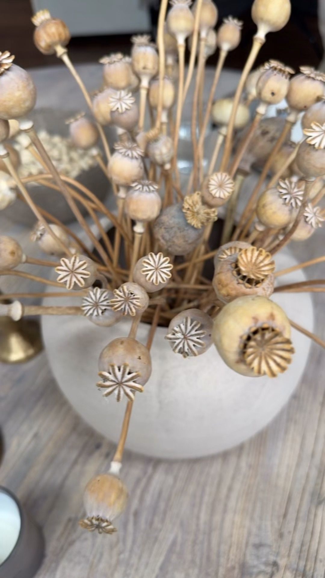 Dried Poppy Pods Styling Favorite

One of my favorite natural decor finds. These dried poppy pods add beautiful texture, organic shape, and a collected vintage feel to shelves, coffee tables, consoles, and seasonal arrangements. They’re the perfect neutral accent for creating that cozy, designer-inspired look with minimal effort. Perfect for rustic modern, organic modern, and RH-inspired spaces.

#LTKHome