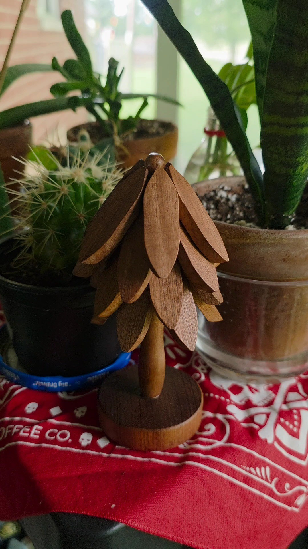 The perfect gift for the plant lover 🤩🌱These wooden coasters are functional art, keeping furniture safe while looking right at home among the plants. This is one of my favorite things 😍Gift ideas, under 10 dollars, plant lovers, plant parents, plants, coasters, art, functional art, home, home decor 

#LTKHoliday #LTKHome #LTKFindsUnder50