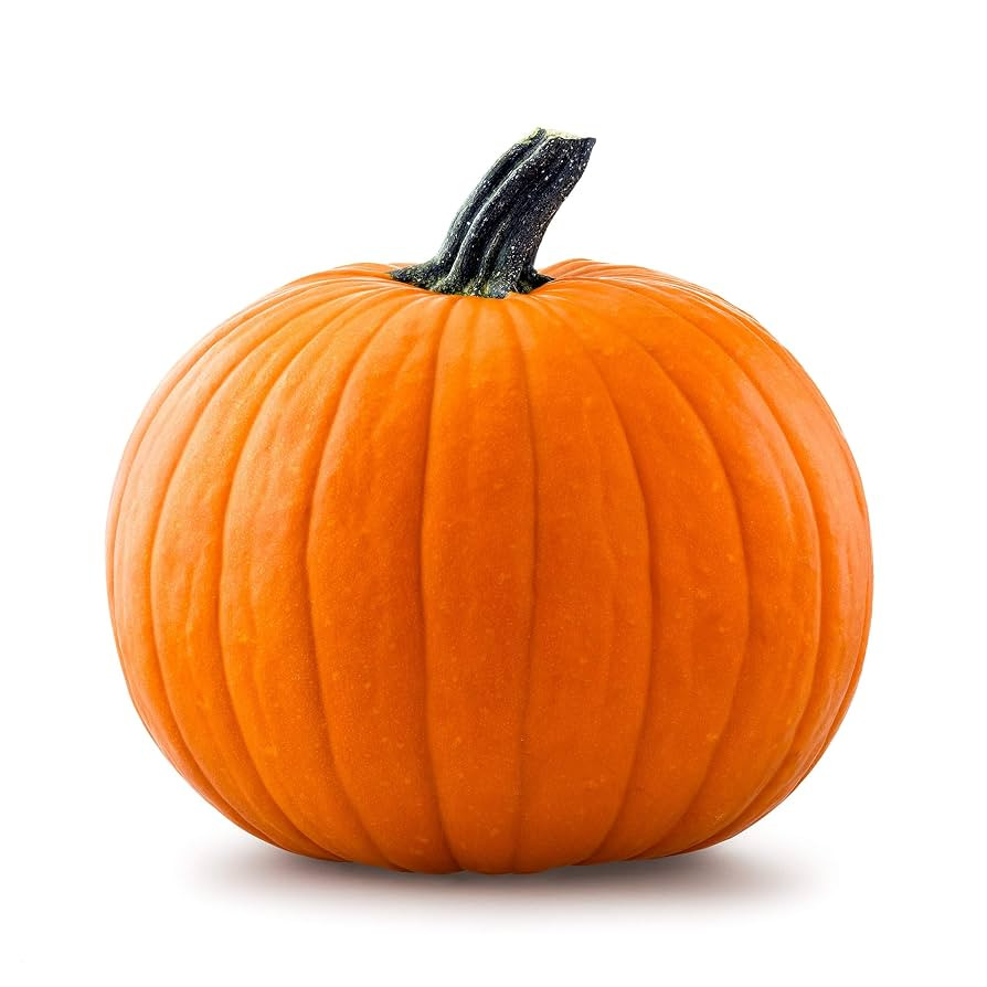 20 Big Max Pumpkin Seeds for Planting - Heirloom Non-GMO USA Grown Premium Vegetable Seeds for Pl... | Amazon (US)