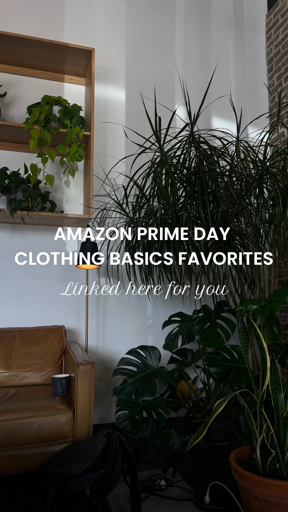 PRIME DAY IS HERE! Here’s a round up of my recent clothing Amazon links of items I seriously love🤍🤍

#amazonprimeday #amazon #primeday

#LTKSaleAlert #LTKActive #LTKStyleTip