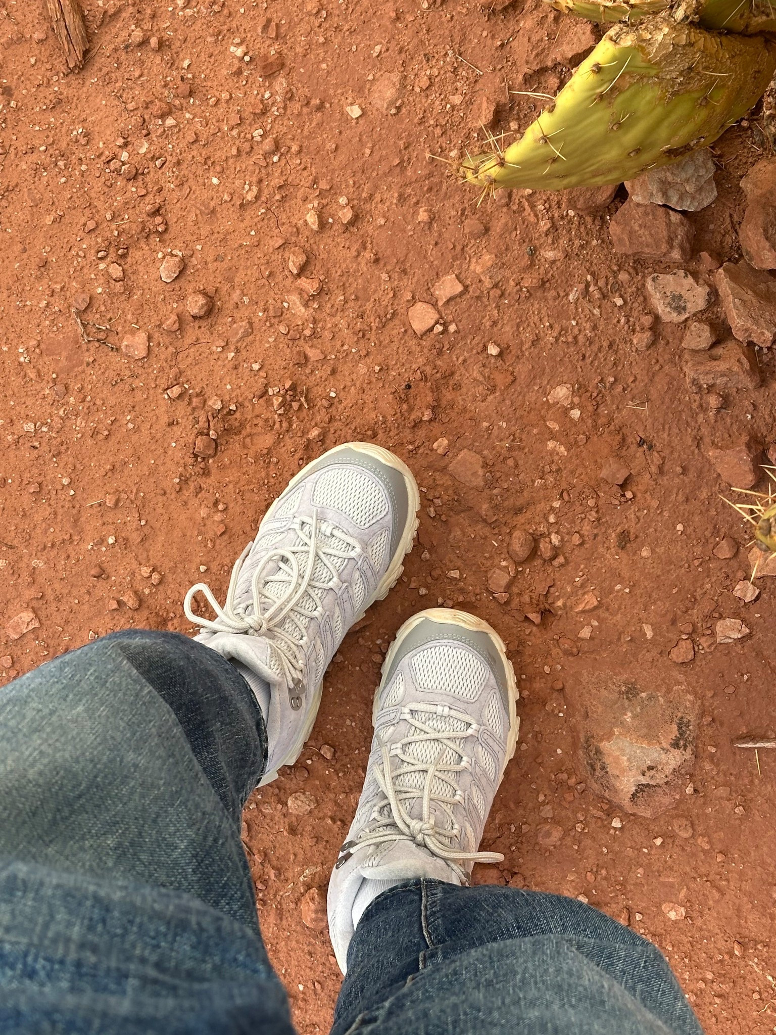 Hiking shoes I wore straight out of the box for a week long national park trip! So comfy, didn’t need to break them in at all. I usually wear 6.5, I got 7.5 as the REI sales rep recommended sizing up half/full size so it’s roomy (and keeping the laces tight around the ankle for proper support).

#LTKActive #LTKSeasonal