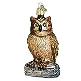 Old World Christmas Glass Blown Ornaments for Christmas Tree Wise Owl | Amazon (US)