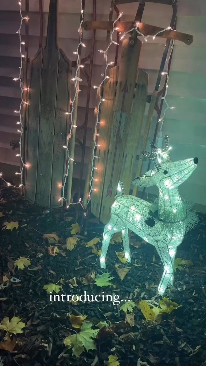 Our cute outdoor reindeer will be coming back out soon! This light up reindeer from target is so cute & perfectly festive for the holiday season! Grab one before it’s sold out!



#LTKSeasonal #LTKHoliday #LTKHome
