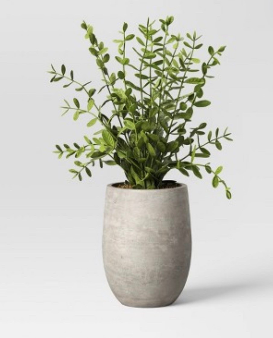 14" Artificial Potted Privet - Threshold™ designed with Studio McGee 

#LTKHome #LTKdayinmylife