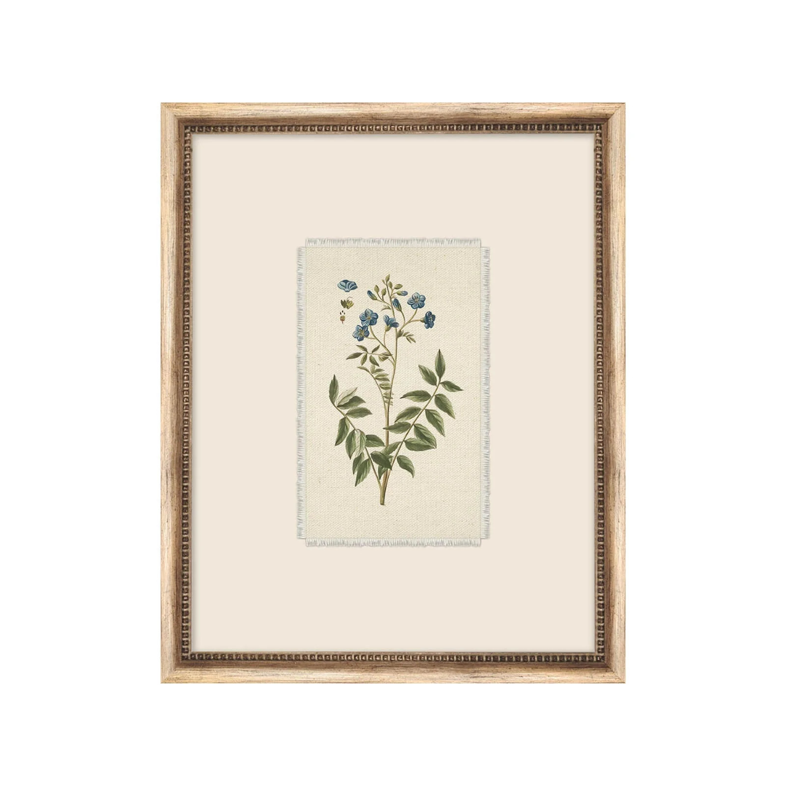 Treillage Botanical III | Brooke and Lou