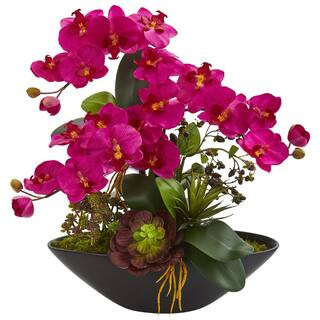 Indoor Phalaenopsis Orchid and Mixed Succulent Garden Artificial Arrangement in Black Vase | The Home Depot