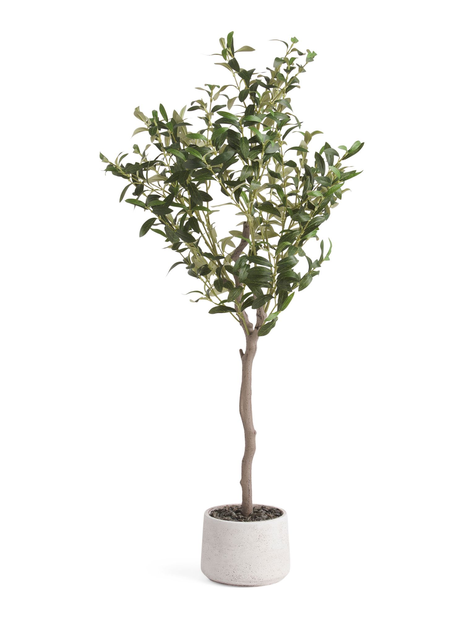 4ft Olive Tree In Stone Pot | TJ Maxx