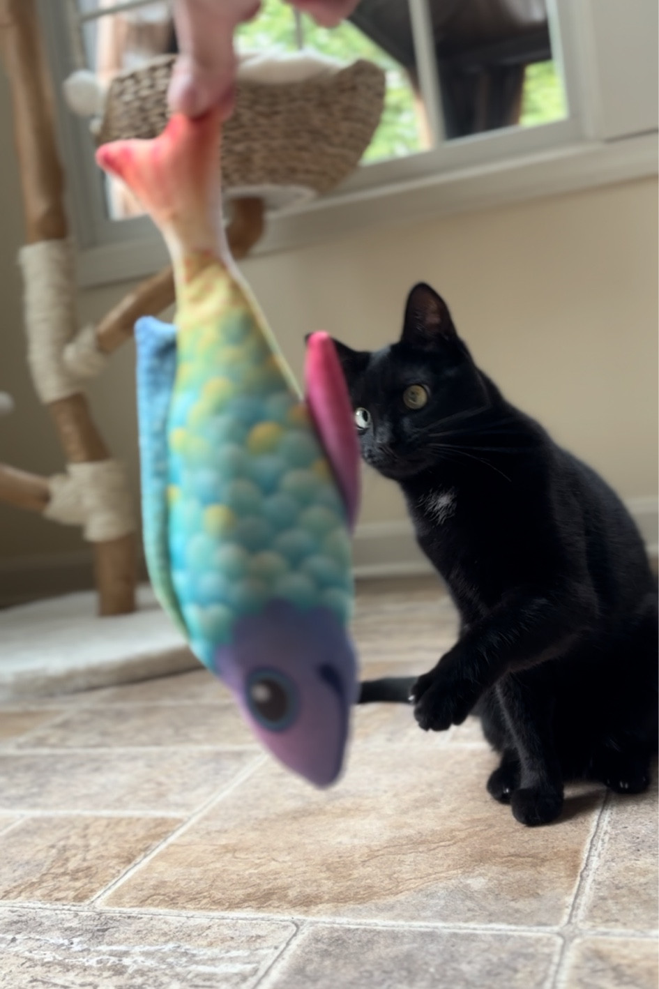 Interactive wobbling fish toy 