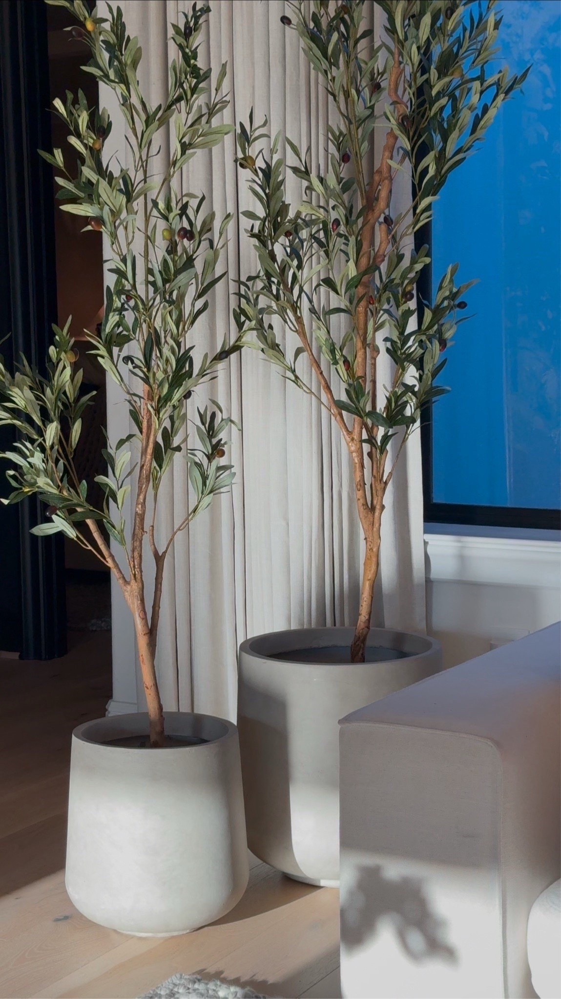 Love these planters which you can style indoors or outdoors. I styled the taller tree with the large sized planter & the shorter the medium sized

 Styled them with these gorgeous faux olive trees. The taller one is 7ft and the shorter of 5ft tall! 

#LTKHome #LTKStyleTip #LTKSaleAlert