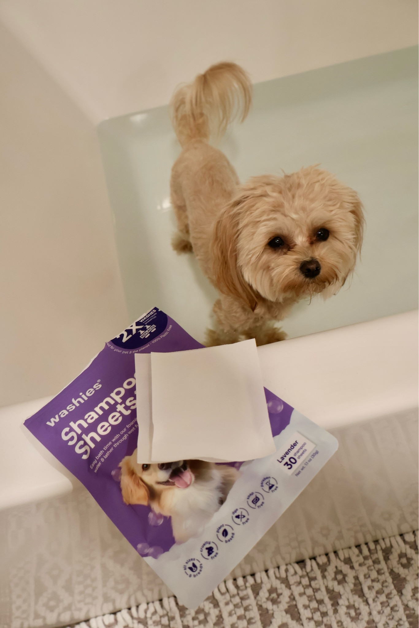 if you like to travel, these shampoo sheets are perfect!

#LTKGiftGuide #LTKFindsUnder50 #LTKHome
