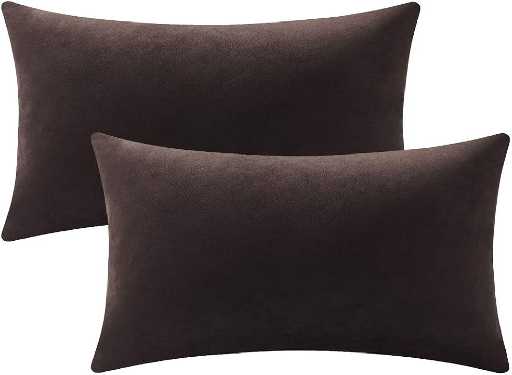 DEZENE Decorative Pillow Cases 12x20 Chocolate Brown: 2 Pack Cozy Soft Velvet Rectangular Throw P... | Amazon (US)