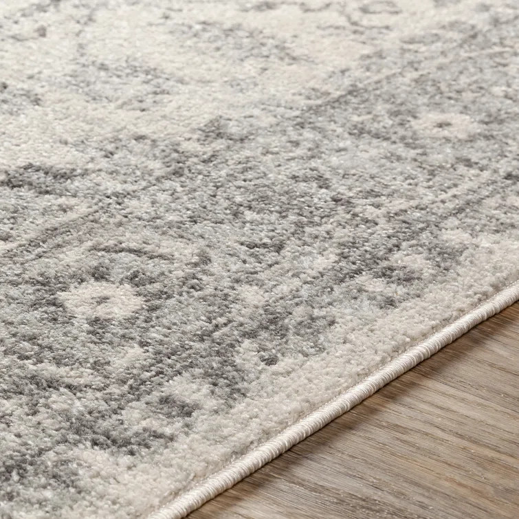 Benoit Oriental Indoor Rug | Wayfair North America