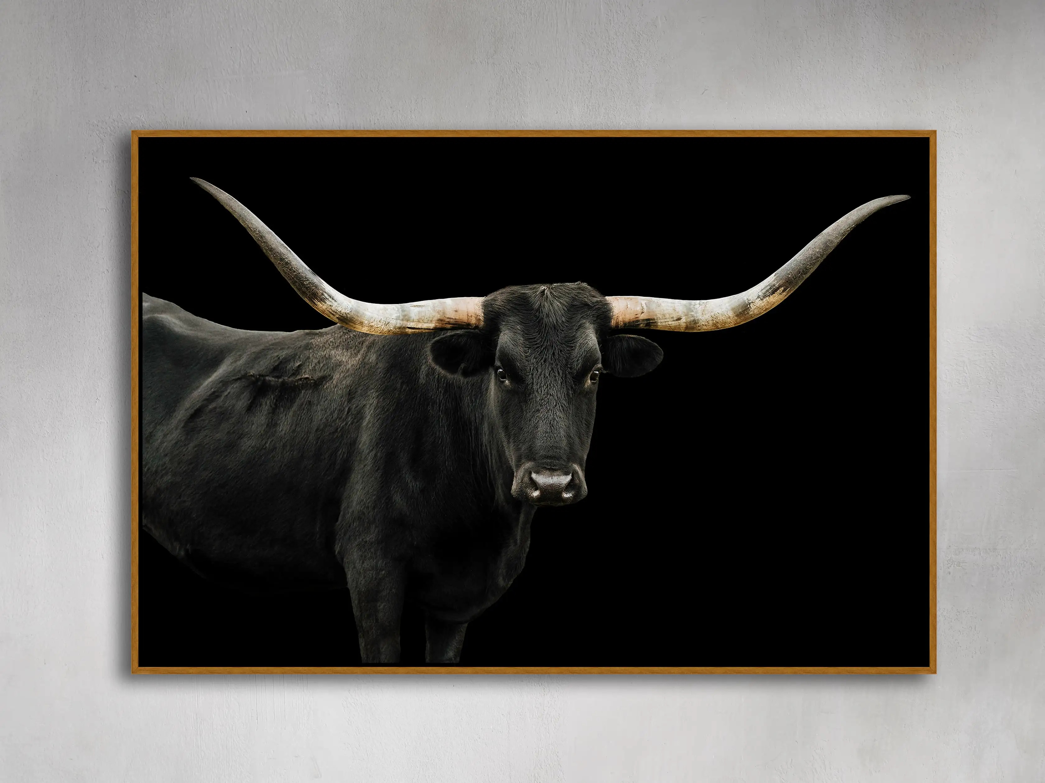 Longhorn Framed Print | Arhaus