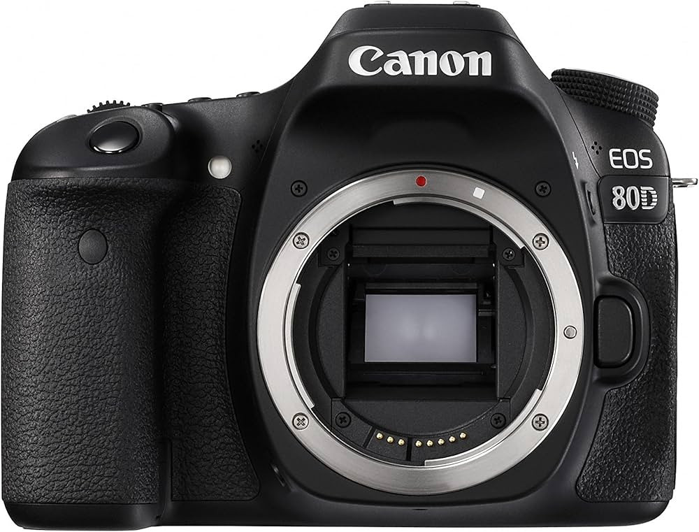 Canon EOS 80D Digital SLR Camera Body (Black) (Renewed) | Amazon (US)