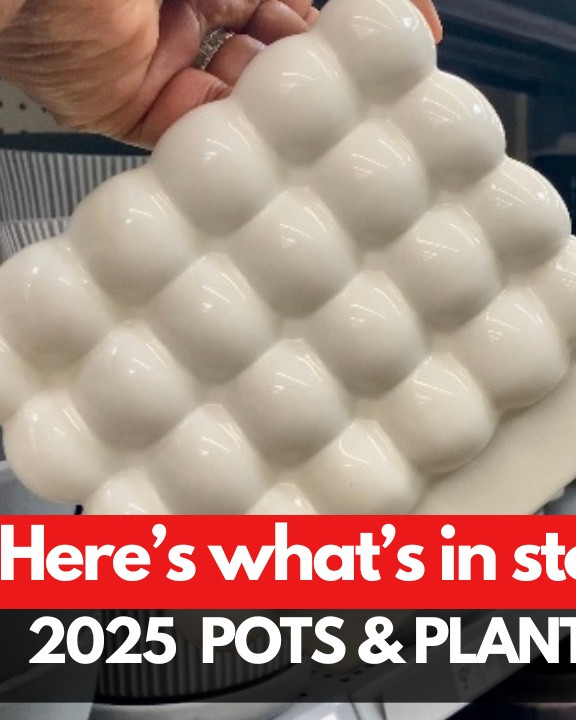Full video on my garden channel : @JazzandBlooms on  YouTube. Walmart New Pots and planters 2025. 🌱

#LTKHome #LTKFindsUnder50 #LTKWatchNow