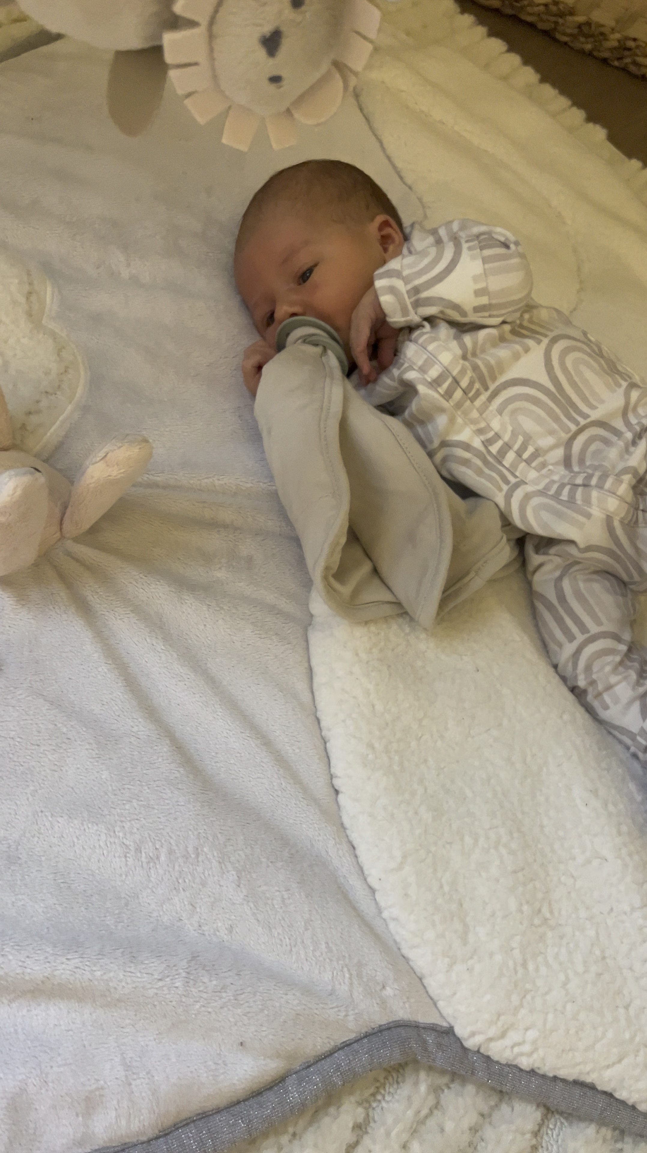 Newborn, baby, onesie, pottery barn, copper pearl, kyte baby, bibs pacifiers, newborn favorites 