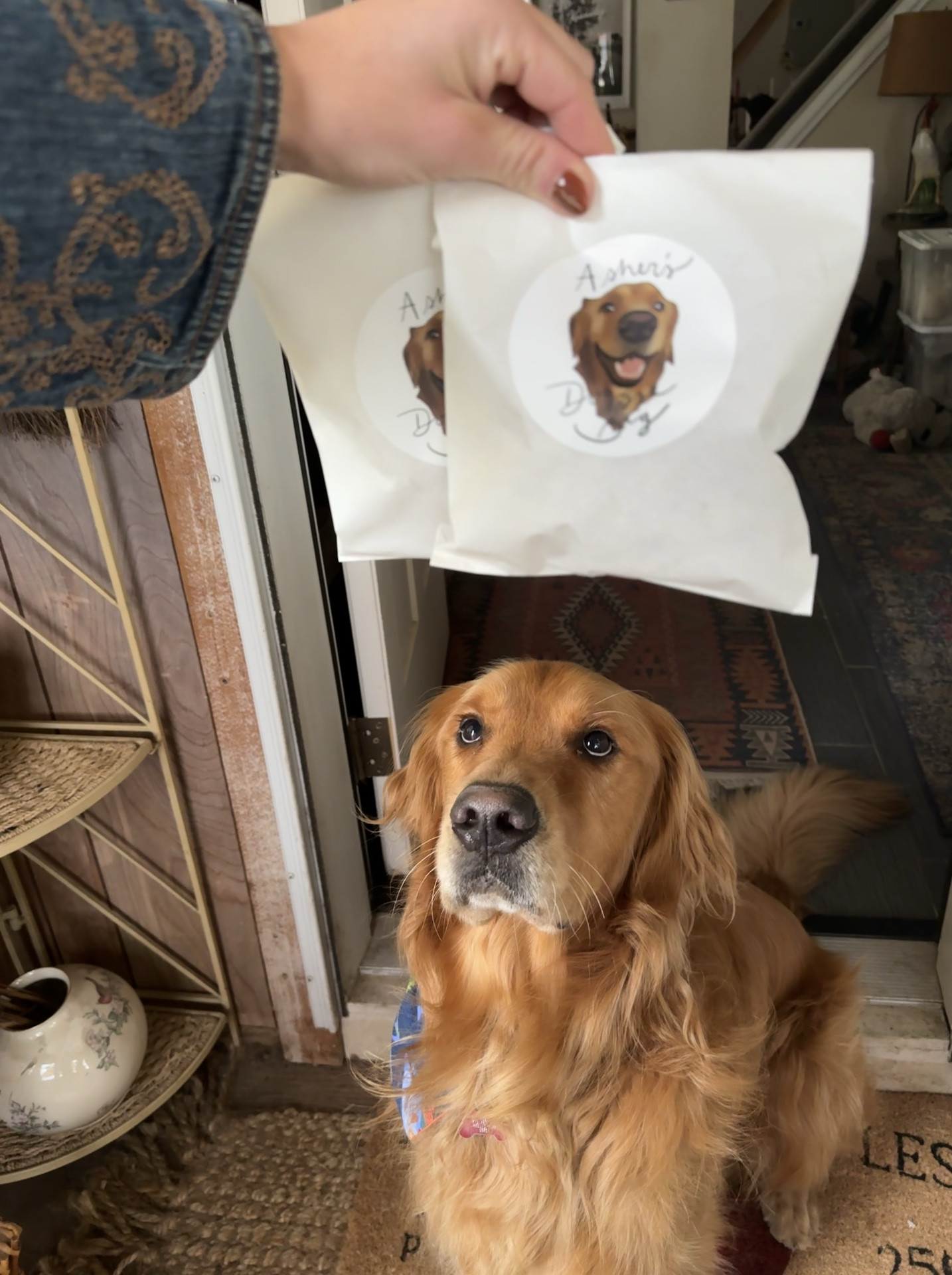 Treat bags for gift giving with our golden retriever on them #dogmom #dogtreats #goldenretriever

#LTKFamily #LTKHome #LTKVideo