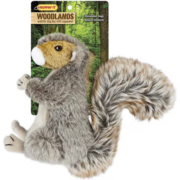 RUFFIN' IT Woodlands Squirrel Plush Dog Toy | Chewy.com