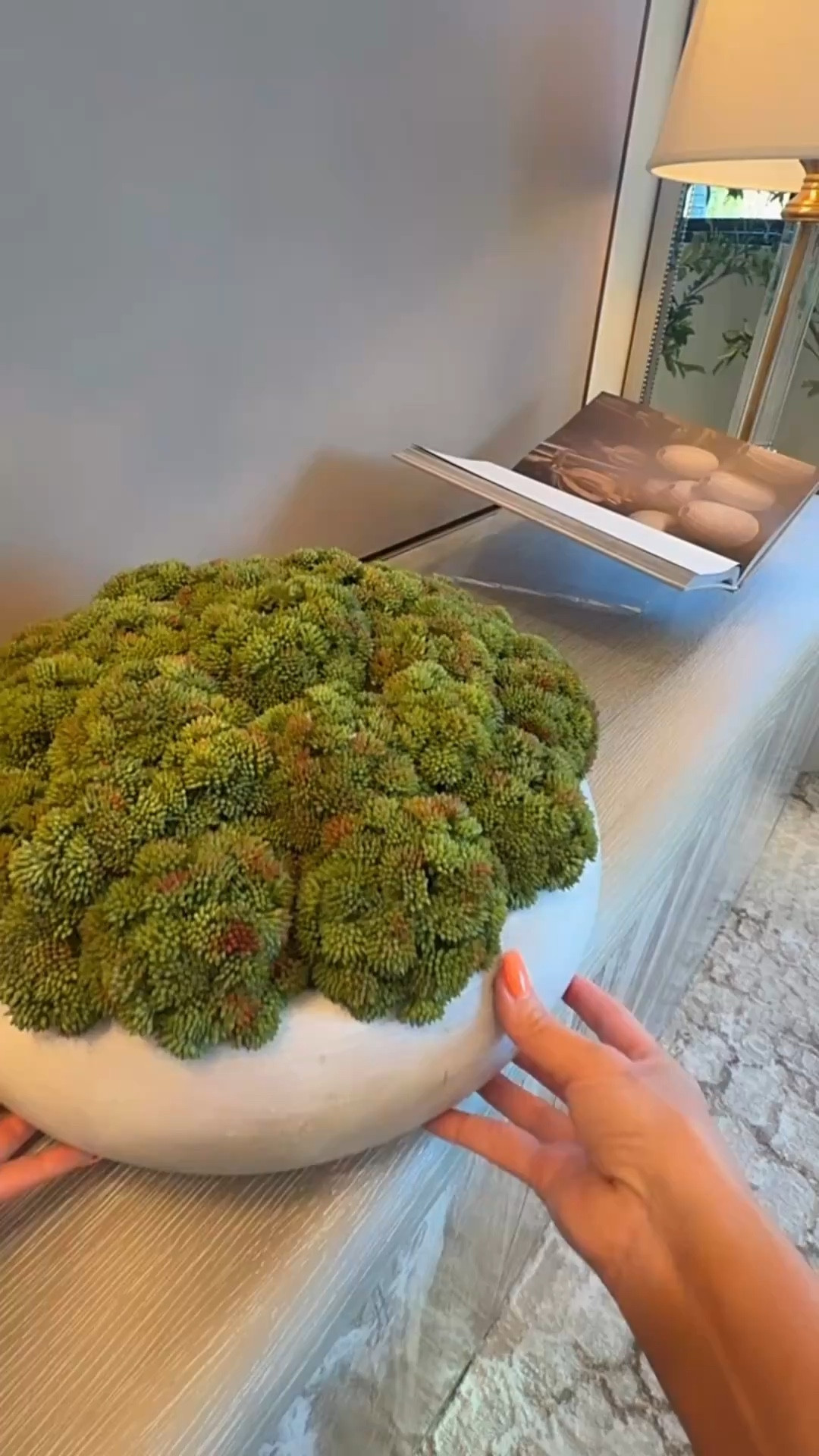 I love this greenery, it elevates the space and gives that simple designer look.

Faux succulents
Succulent arrangement
Designer inspired greenery
Restoration hardware look-alike greenery
Wayfair home decor
Elevated home decor ideas
Fancy home decor
Neutral Raul home decor 

 Summerthompsonstyles 

#LTKHome #LTKSaleAlert #LTKActive