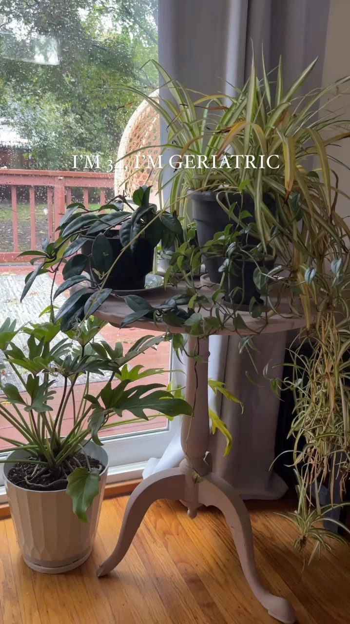 All the things I love about our home!
🪴🌈🎨🪩📚✨🌸

Basically this is me in a nut shell 🤍🫶🏻







#LTKStyleTip #LTKFindsUnder100 #LTKHome