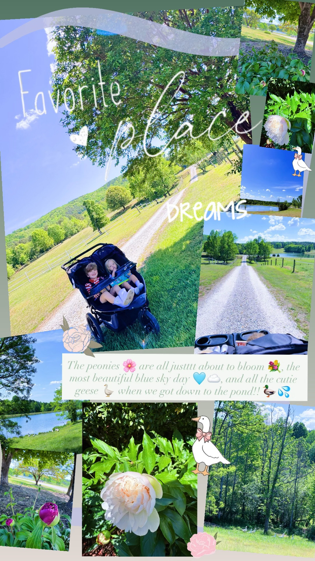 The peonies 🌸 are all justttt about to bloom 💐, the most beautiful blue sky day 🩵☁️, and all the cutie geese 🪿 when we got down to the pond!! 🦆💦

#LTKKids #LTKdayinmylife #LTKBaby