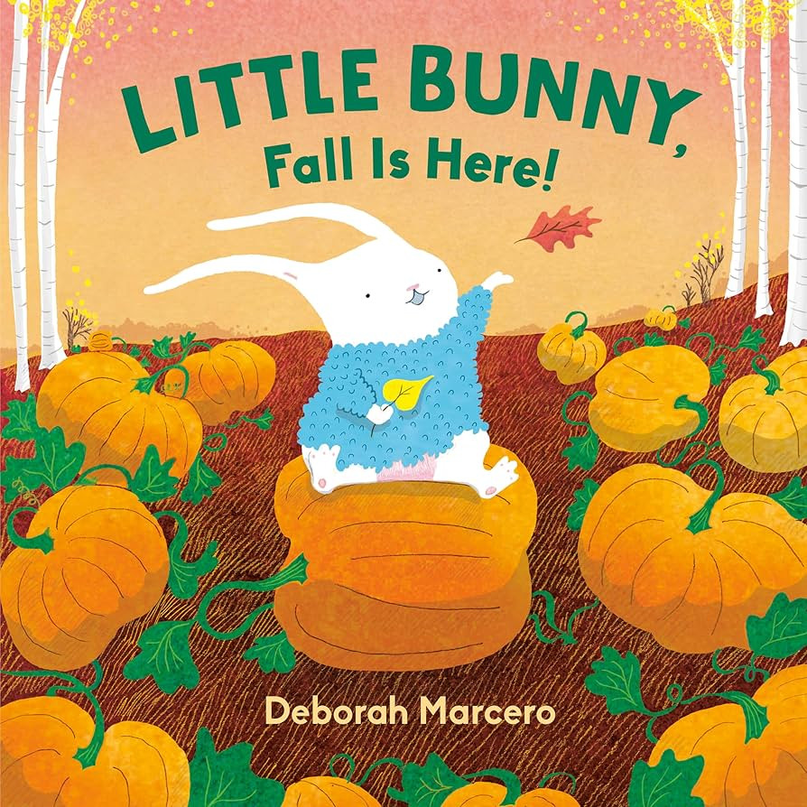 Little Bunny, Fall Is Here! | Amazon (US)