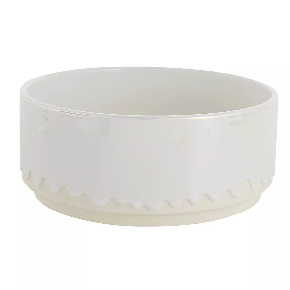 Petsmart ceramic 2024 dog bowls