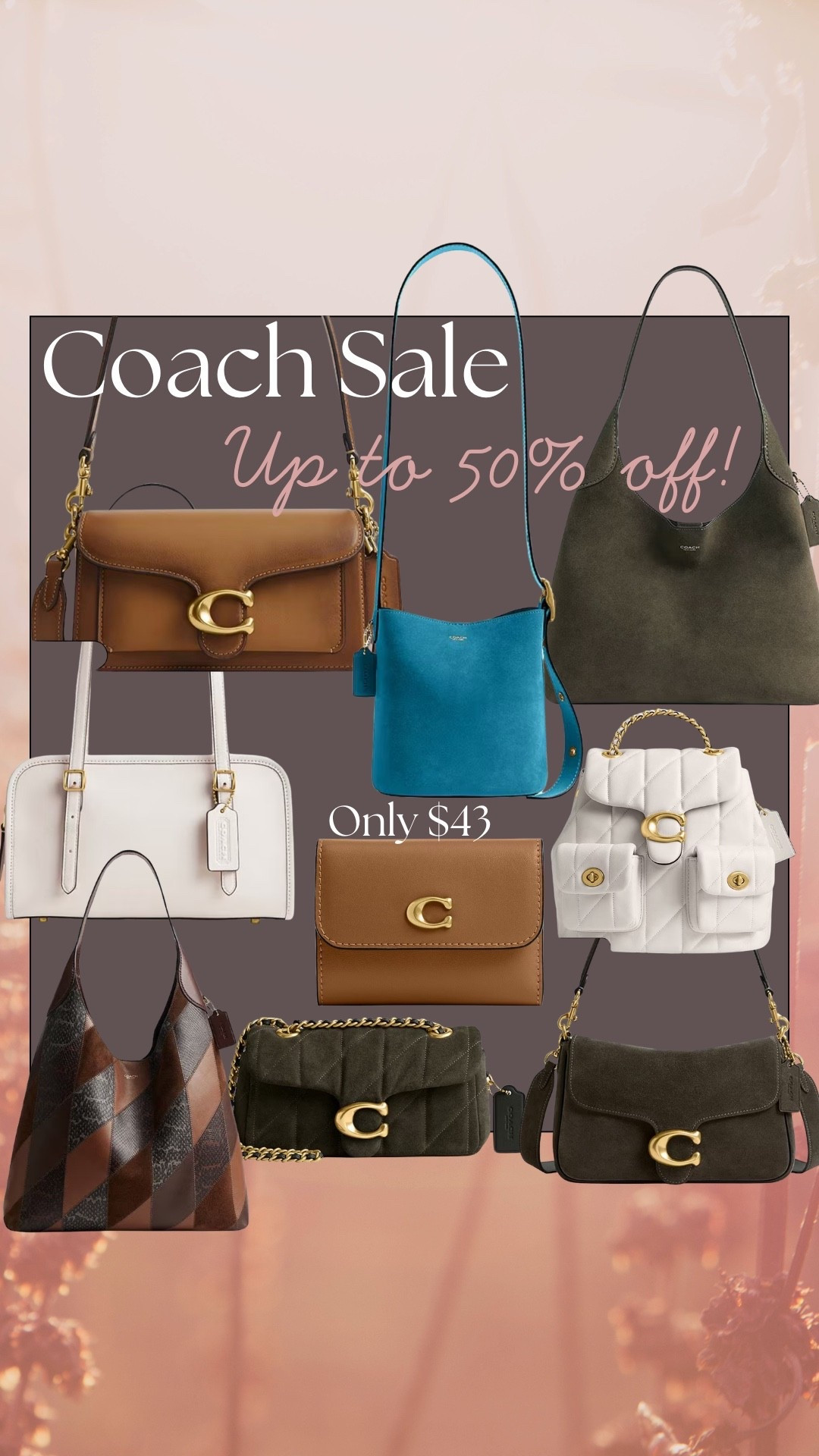 Major deals in coach bags!!! Haven’t seen prices this low in a while. Love the olive green suede and the cognac tabby!!! Tabby purse, Brooklyn bag, Coach Brooklyn bag, Coach tabby purse 

#LTKWorkwear #LTKSaleAlert
