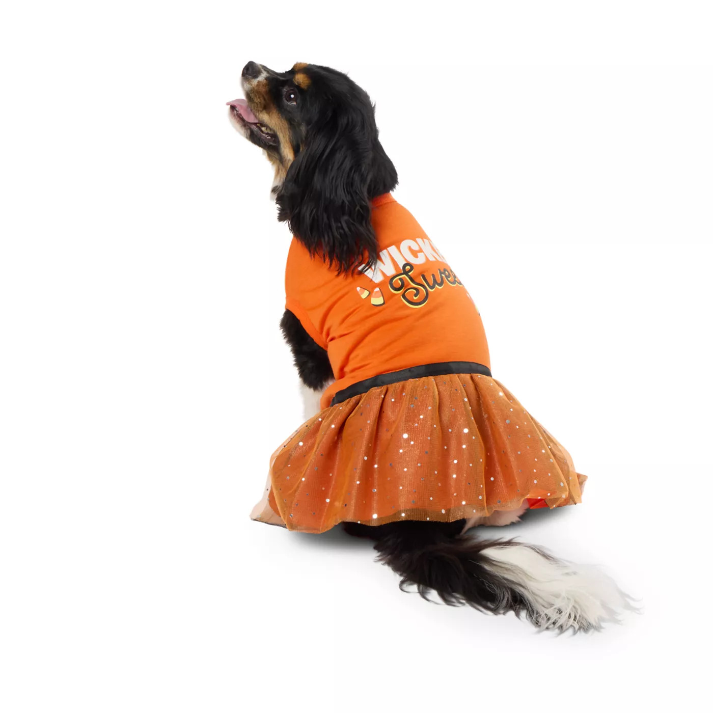 Thrills & Chills Wicked Cute Dress | PetSmart