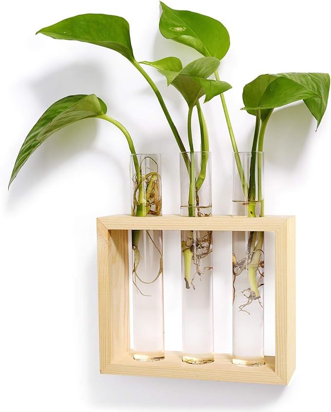 Mkono Wall Hanging Glass Planter Plant Terrarium Modern Flower Bud Vase in Wood Stand Rack Tablet... | Amazon (US)