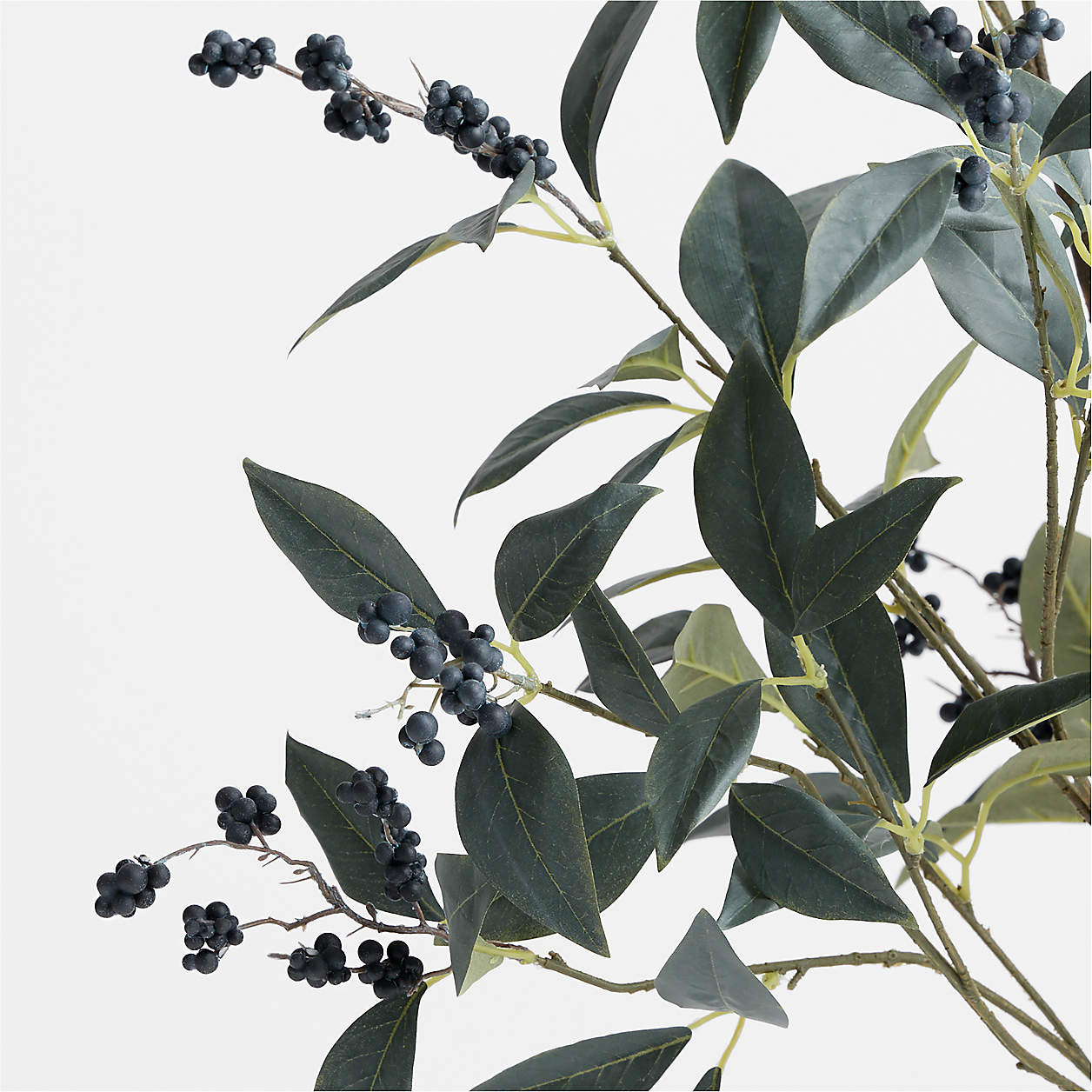 Faux Blueberry Branch 57" | Crate & Barrel | Crate & Barrel