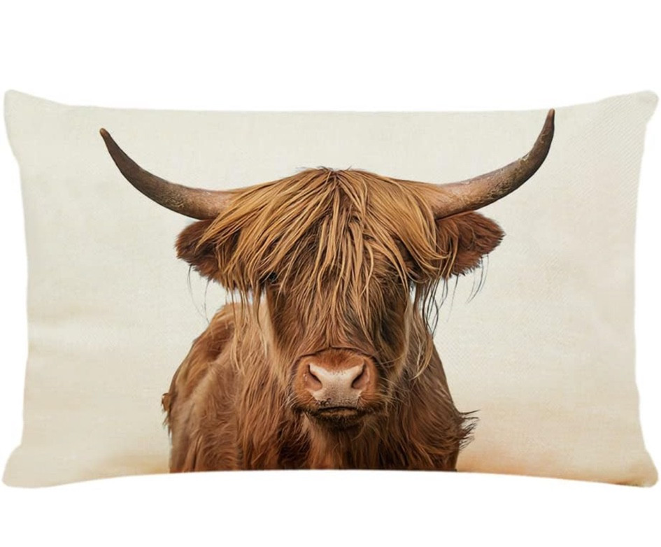 Obsessed with this cutest accent pillow!

Only $8.99

#home #decor #bedroom #pillows #accents #cows #highlanders 

#LTKGiftGuide #LTKhome #LTKsalealert