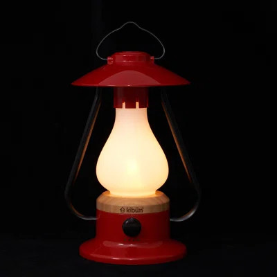 Bonfire Cordless LED Outdoor Table Lamp With Dimmer, Built-In Rechargeable Battery, 3-Level Brightness With Power Bank | Wayfair North America