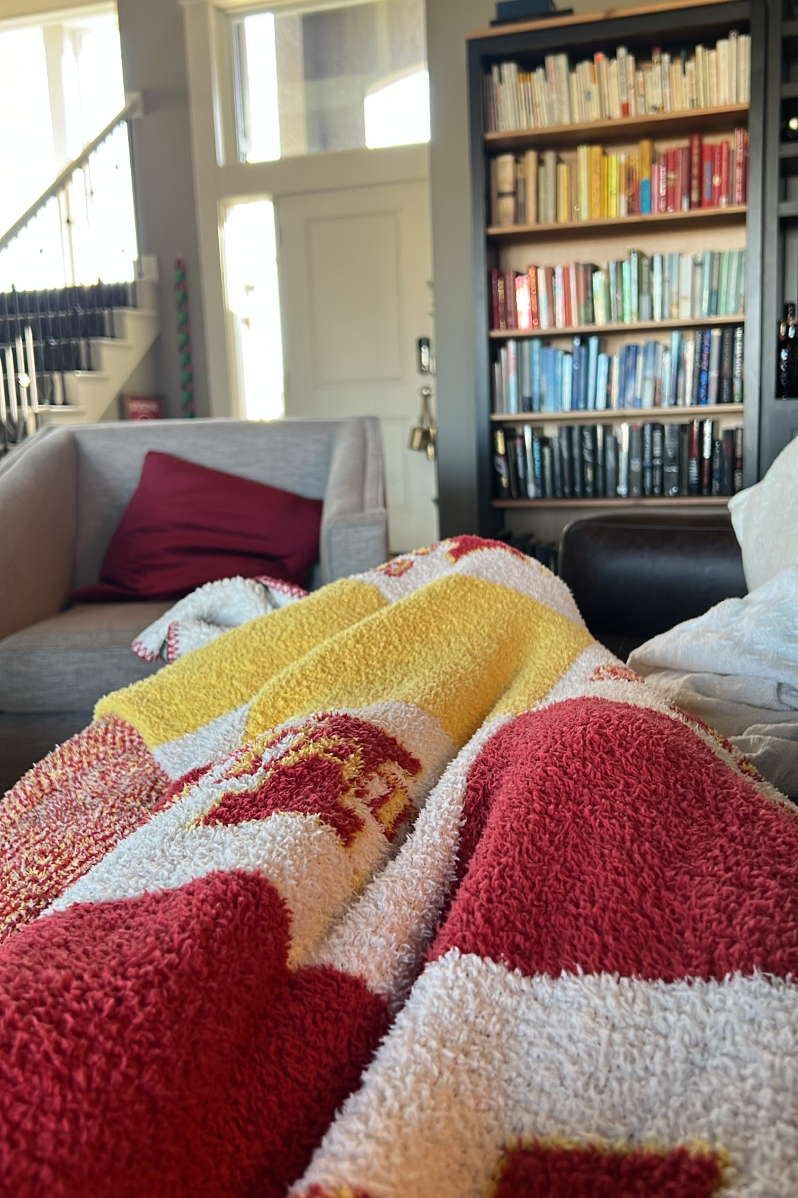 These are the best blankets ever. From the styled collection! Tons of college teams and all the NFL teams too! 

#LTKFindsUnder50 #LTKGiftGuide #LTKSaleAlert