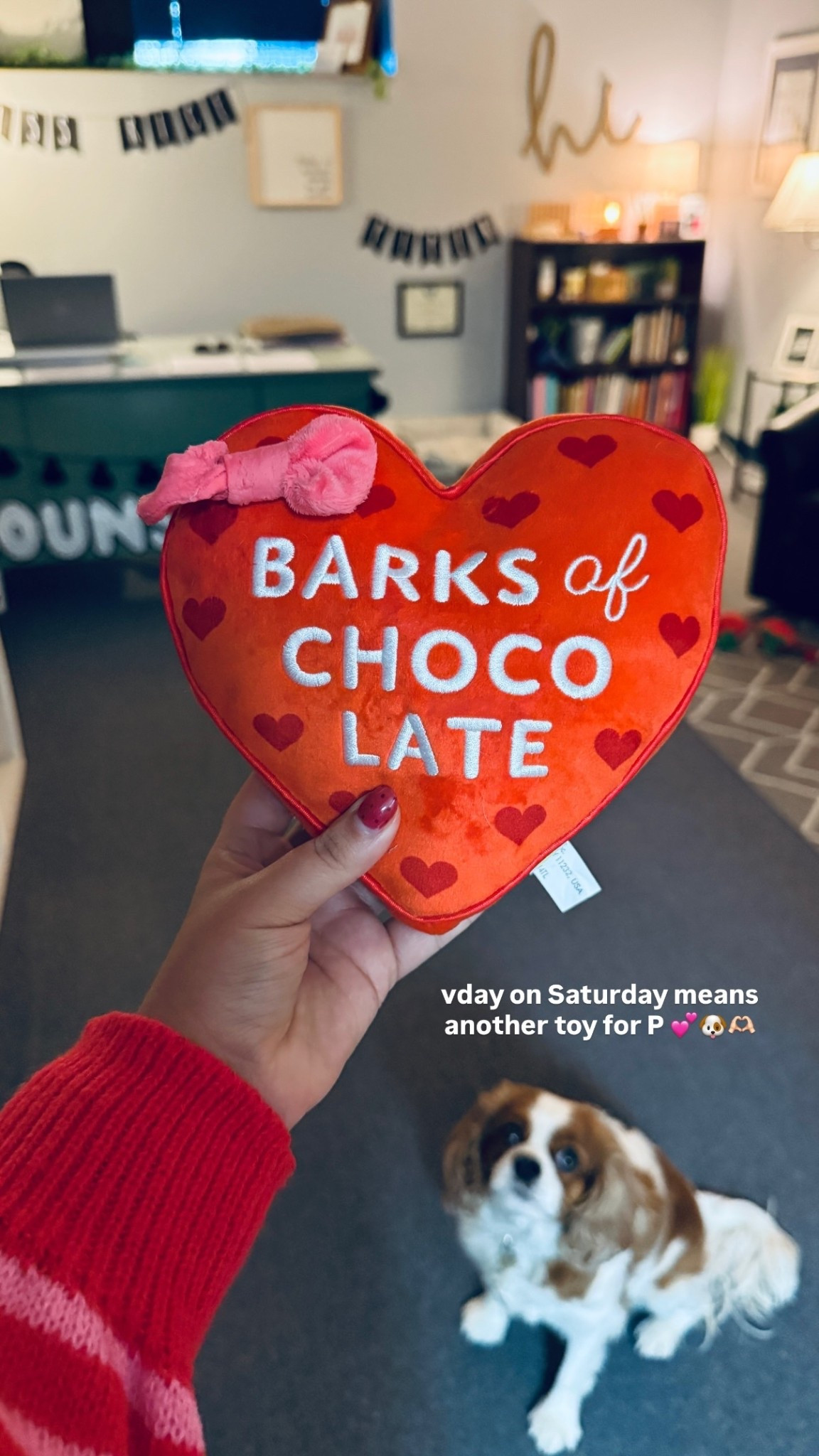 vday on Saturday means another toy for P 💕🐶🫶🏻