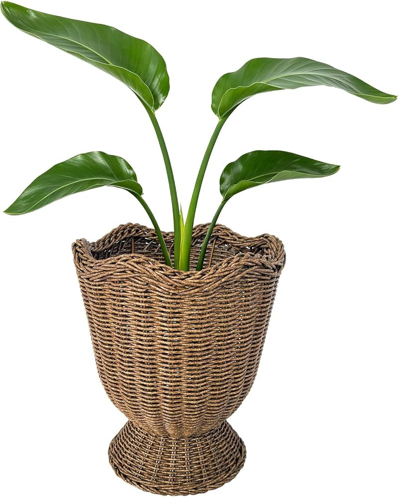 Rattan Planter, Woven Planter Basket for Plants Indoor Outdoor, Rattan Flower Pot, Decorative Pla... | Amazon (US)