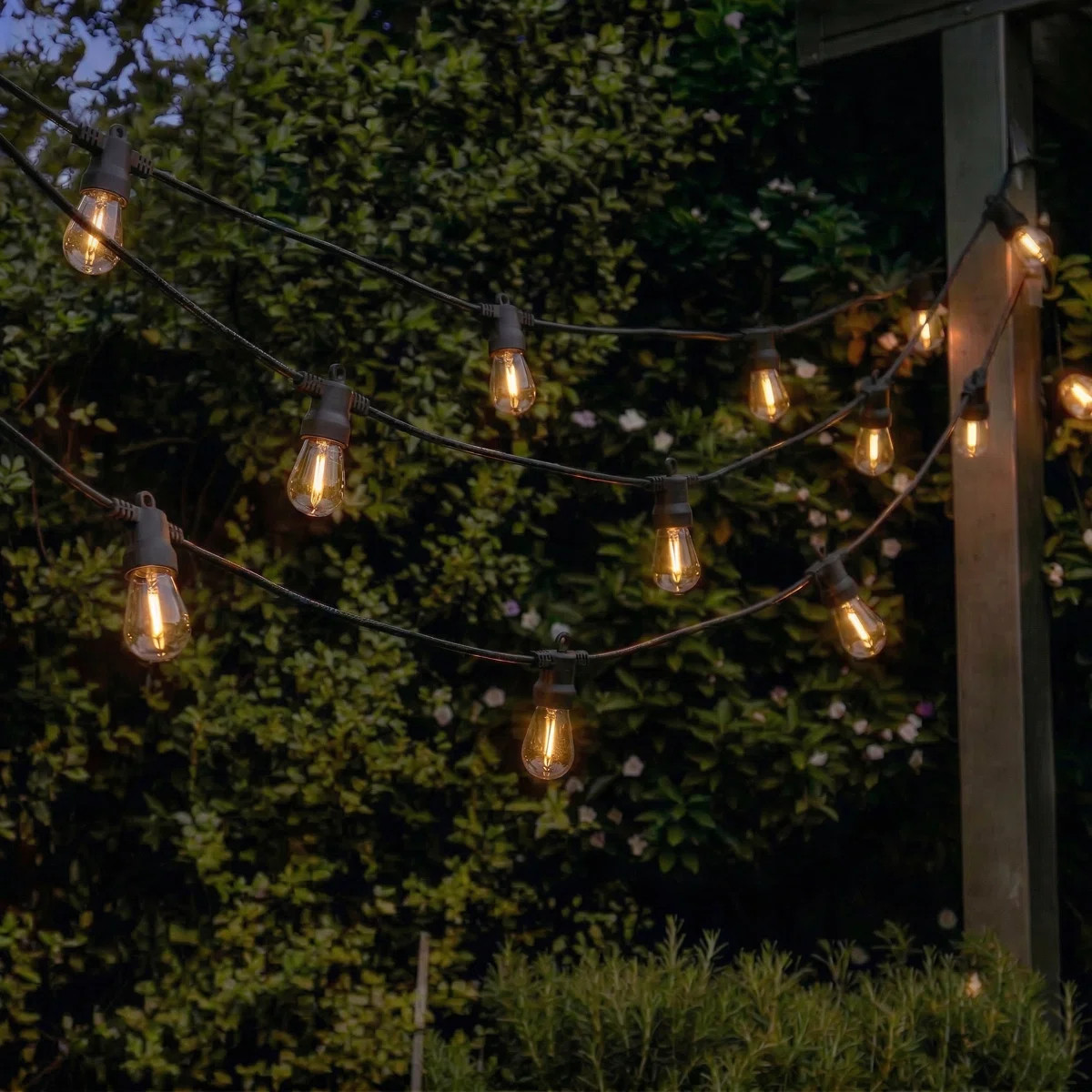 Ambience Pro 27 ft. Solar-Powered Outdoor LED String Lights with 12 Warm White S14 Bulbs, Weather... | Wayfair North America