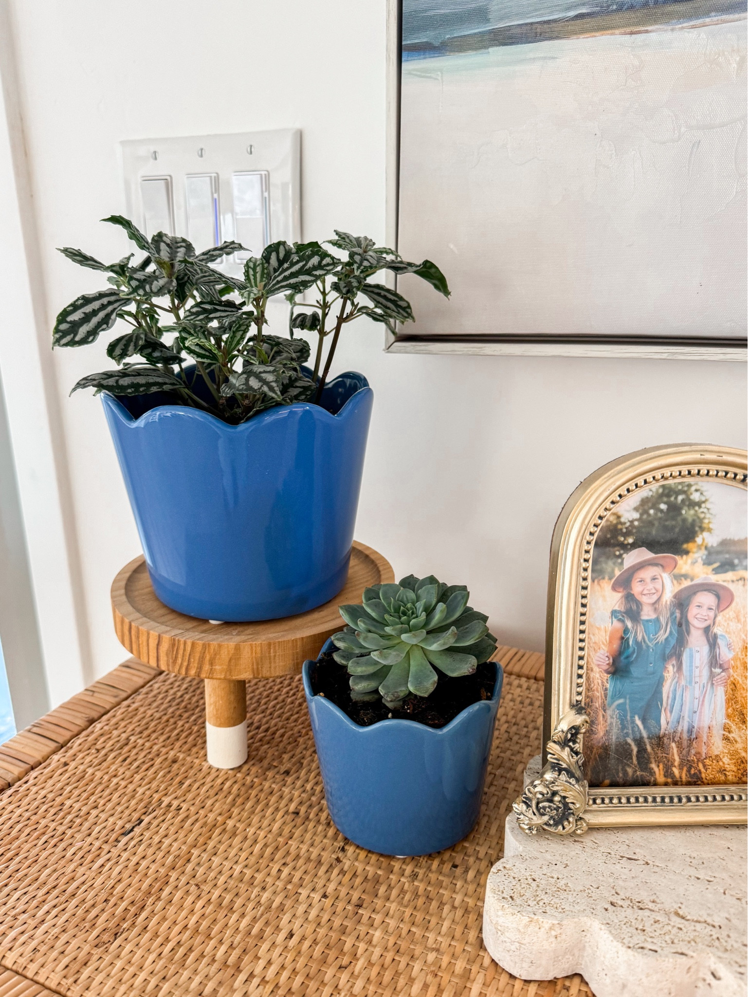 The most adorable scalloped pots available in blue AND white! The prices are so good too! $4.98 and $2.98 🤯 Perfect for indoor plants or outdoor!

#LTKStyleTip #LTKSeasonal #LTKHome