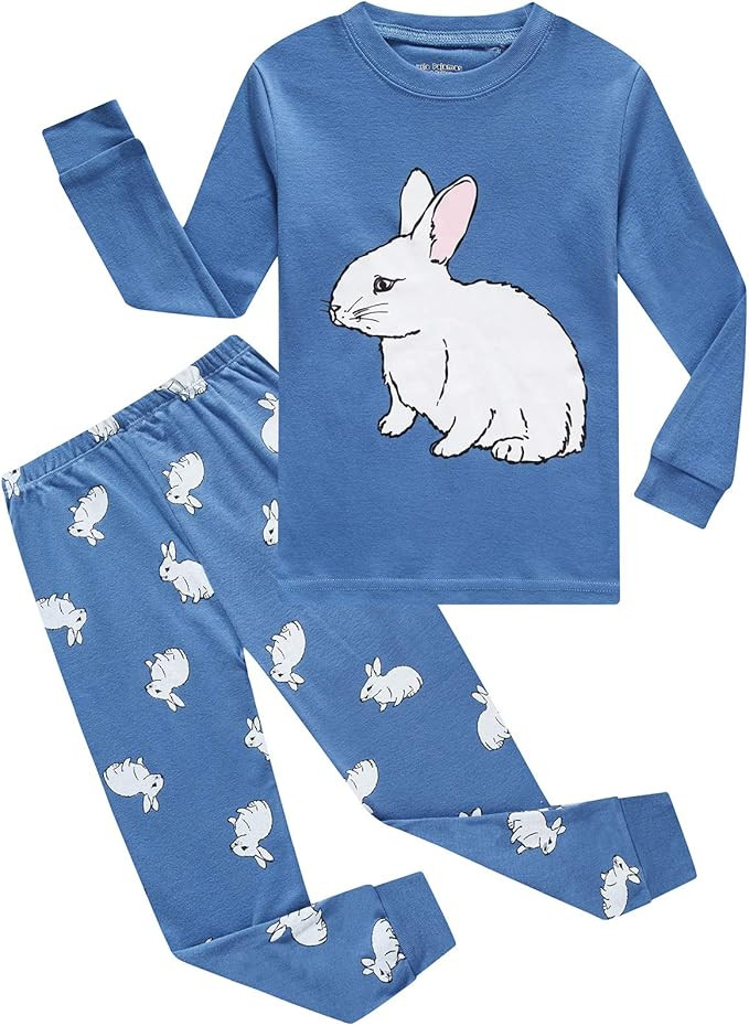 Boys Pajamas Long Sleeve Toddler Clothes Set Dinosaur 100% Cotton Little Kids Pjs Sleepwear | Amazon (US)