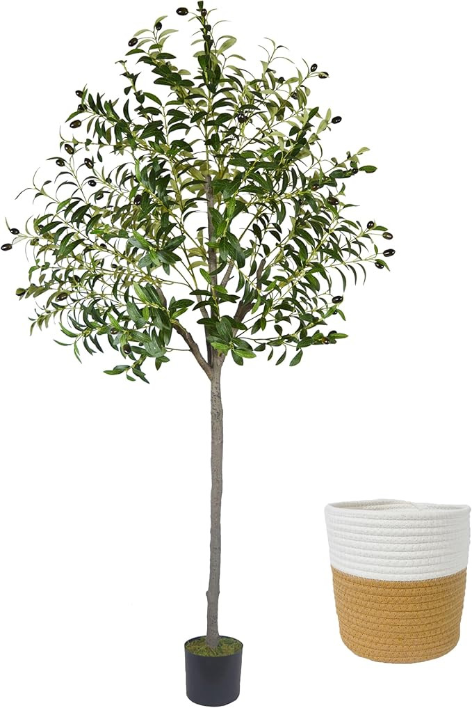 Homeplants Artificial Olive Tree, 6ft Fake Olive Branch Leaves and Fruit Plant with Woven Basket,... | Amazon (US)