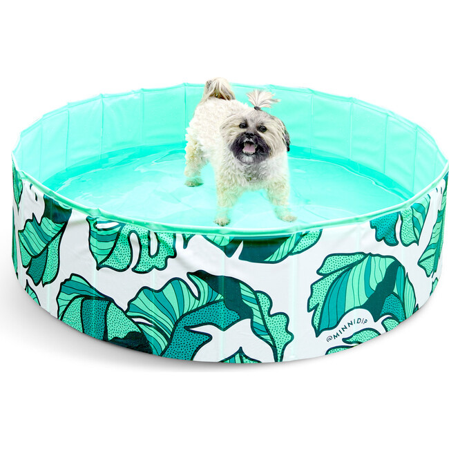 The Tropical Palms Pup Dip (Green, One Size) - Kids Toys | MINNIDIP from Maisonette | Maisonette