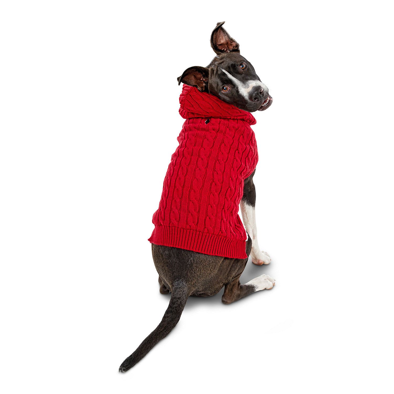 Bond & Co. Red Cable-Knit Hooded Dog Sweater | PETCO Animal Supplies