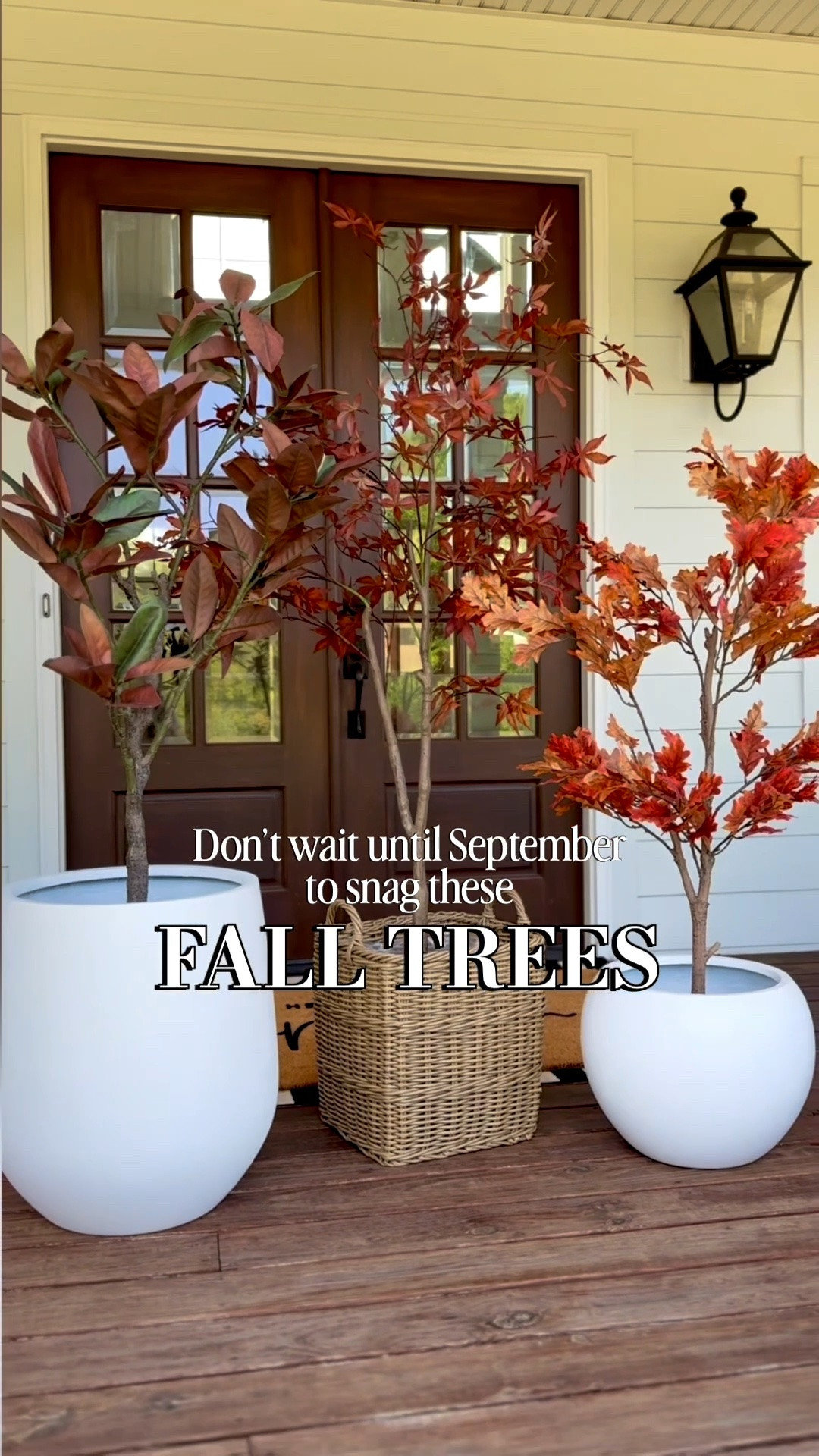 Don’t wait to purchase these fall trees! You may not be able to get them come September. I have used all three of these in fall porch decor over the years and love them all! They are also beautiful indoors! I linked them on Amazon and other sources too as well as my rugs, doormats, lanterns and planters!

#LTKHome #LTKSeasonal #LTKSaleAlert