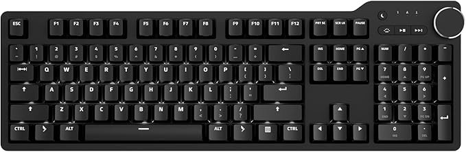 Das Keyboard 6 Professional Backlit Wired Mechanical Keyboard – Clicky Cherry MX Blue Switches,... | Amazon (US)