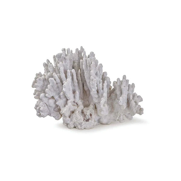 White Washed Coral Sculpture | Cailini Coastal