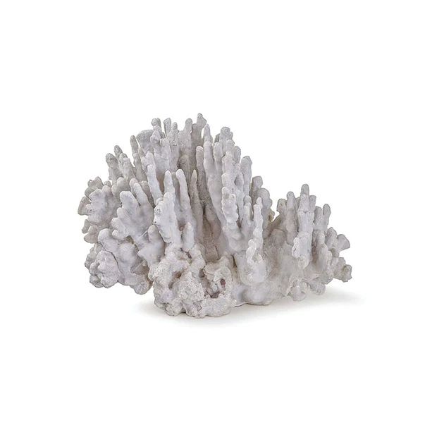 White Washed Coral Sculpture | Cailini Coastal
